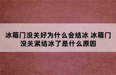 冰箱门没关好为什么会结冰 冰箱门没关紧结冰了是什么原因